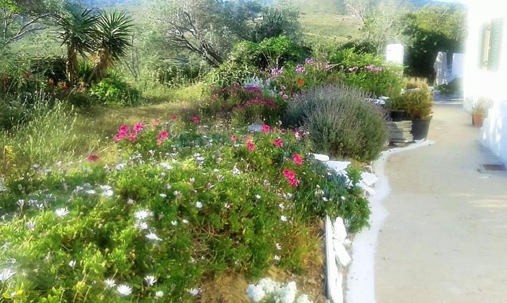 Villa Avgoustis' Stone House Otziás Exterior foto